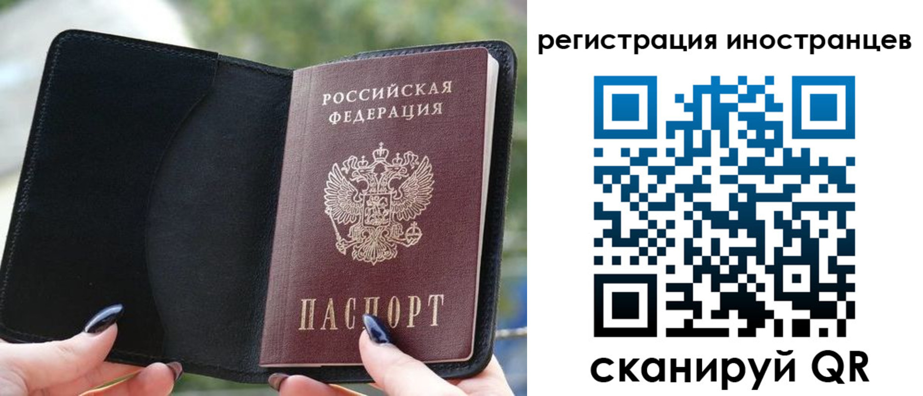 найти адрес прописки в Балтийске